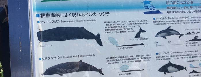 クジラの見える丘公園 is one of 観光地.