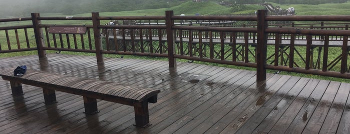 Elevated Wood Deck is one of 観光地.