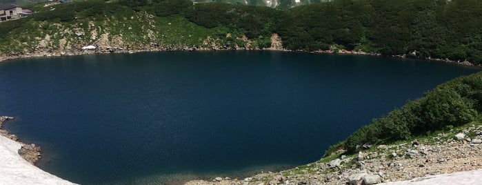 Mikurigaike Pond is one of Lugares favoritos de ジャック.