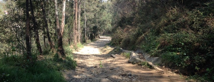 Cerro Xochitepec (De la Cruz) is one of Lugares favoritos de Mario.