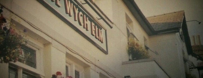 The Wych Elm is one of Tempat yang Disukai Carl.