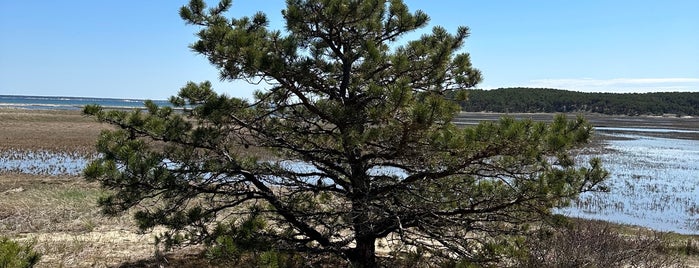 Great Island Trail is one of Cape.