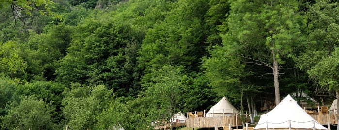 Green Camp is one of Lieux qui ont plu à Alex.