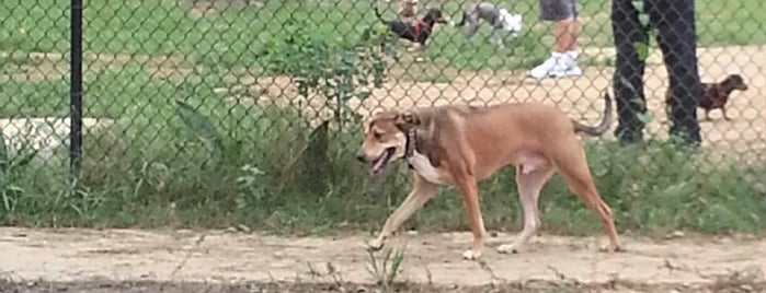 Julien Marx Dog Park is one of Stephanie’s Liked Places.