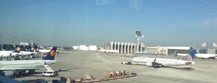 Gate Z21 is one of Flughafen Frankfurt am Main (FRA) Terminal 1.