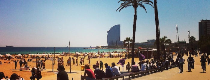 Praia da Barceloneta is one of Emblemas de Barcelona.
