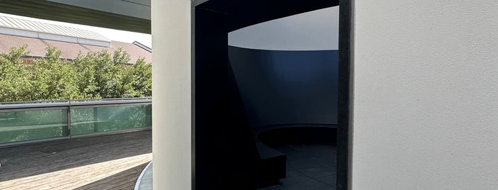 The Color Inside (Turrell Skyspace) is one of Houston.