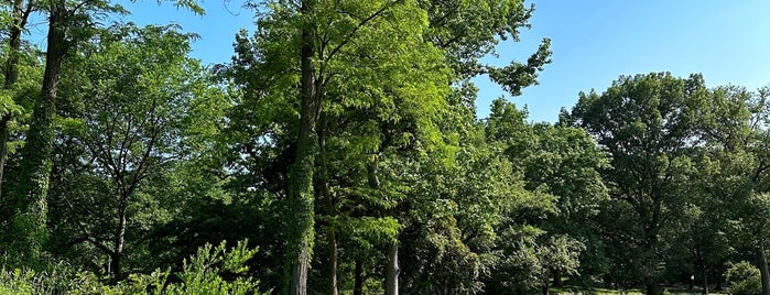 Dene Slope is one of East Village.