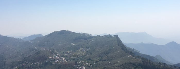 Coaker's Walk is one of Kodaikanal.