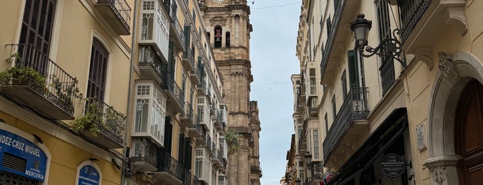 Catedral de Málaga is one of สถานที่ที่ Mrs_astakhova ถูกใจ.