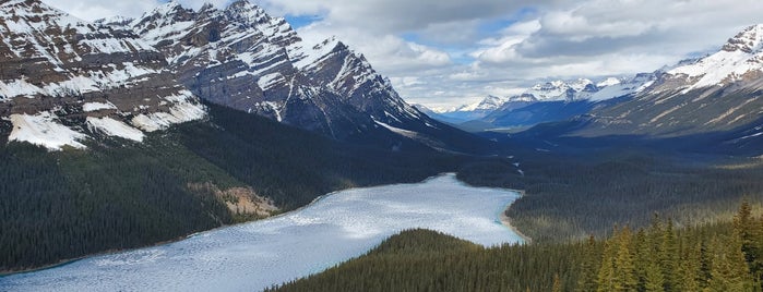 Peyto Lake is one of Banff.