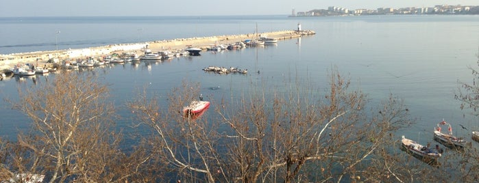 Çınarcık Liman is one of Tempat yang Disukai Suzi-----.