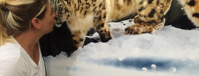 WWF Türkiye is one of Derman'ın Kaydettiği Mekanlar.