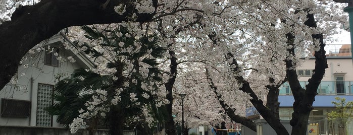 桃町緑道 is one of 大阪みどりの百選.