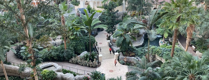 Everglades Atrium is one of Orlando.