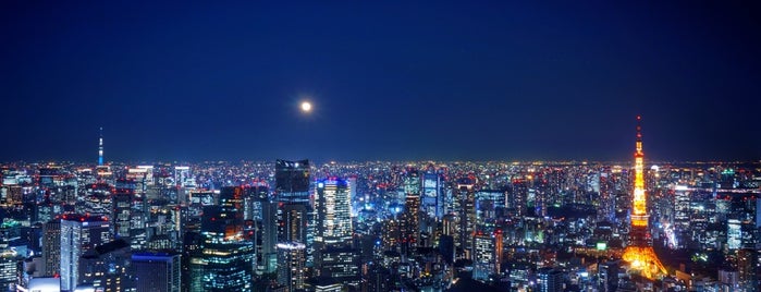 Sky Deck is one of 東京タワーの撮影スポット.