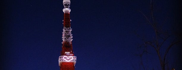 The Prince Park Tower Tokyo is one of 東京タワーの撮影スポット.