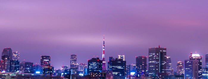 레인보우 브릿지 is one of 東京タワーの撮影スポット.