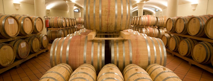 IL VINAINO DI GREVE is one of Chianti Classico Tasting at Winery.