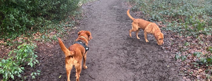 Wick Local Nature Reserve is one of Locais curtidos por Jason.