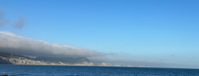 The Jurassic Coast is one of Dorset.
