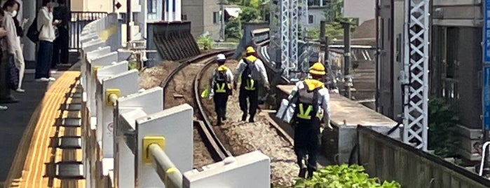 JR Platforms 1-2 is one of 東横線.