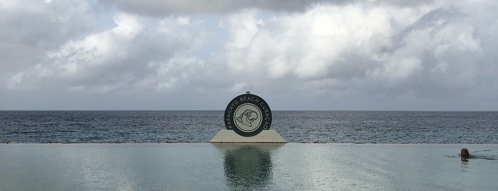 Papagayo Beach Club is one of Curaçao.