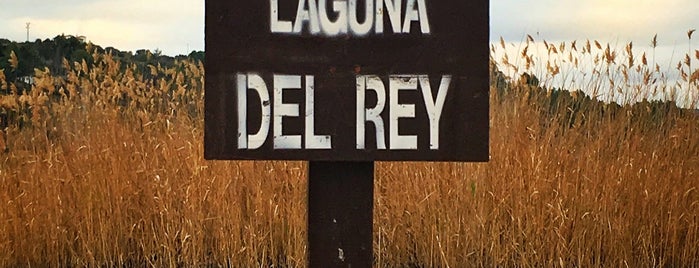 Laguna del Rey is one of Madrid.