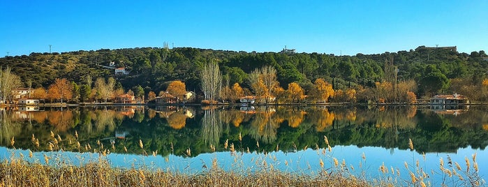 Laguna del Rey is one of Madrid.