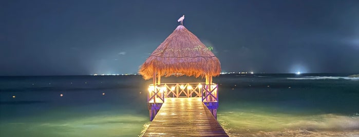 Hyatt Ziva Cancun is one of Hotels 1.