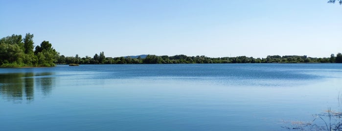 Jezero Šljunkara is one of outdoor.