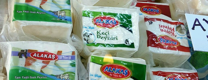 Galipoğullari peynircilik is one of Kıbrıs.