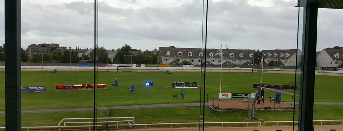 Harold's Cross Greyhound Stadium is one of Dublin, Irlanda.