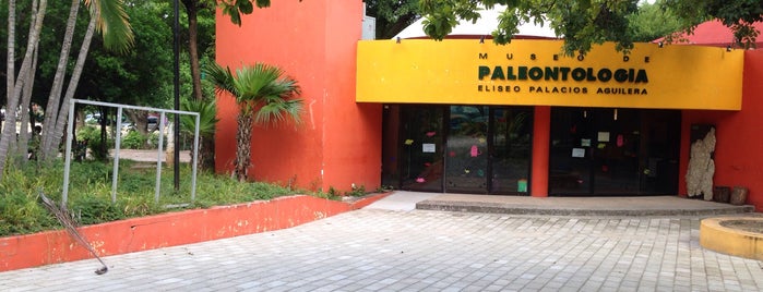 Museo de Paleontología "Eliseo Palacios Aguilera" is one of Tempat yang Disukai Kleyton.