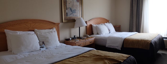 Comfort Inn & Suites is one of Lugares favoritos de Dan.