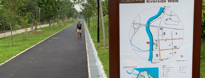 Punggol Promenade Riverside Walk is one of Favourites in Singapore.