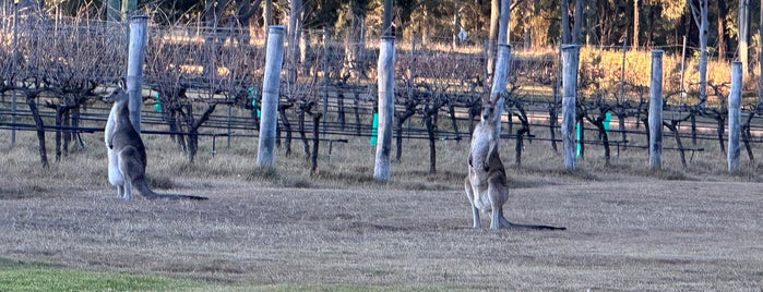 Oakvale Wines is one of Hunter Valley.