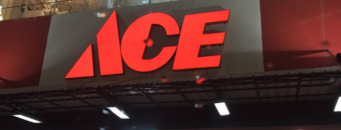 ACE Hardware is one of Store in Jakarta.