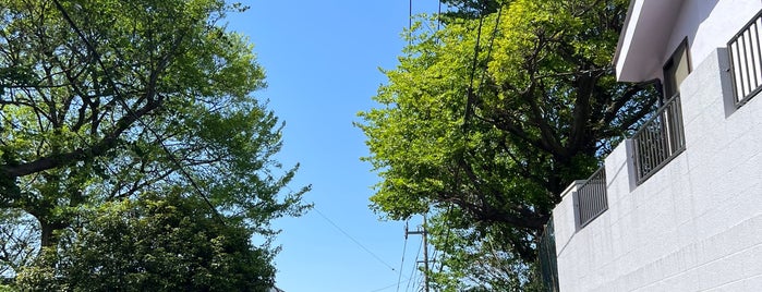 滝の根公園 is one of 公園_埼玉県.