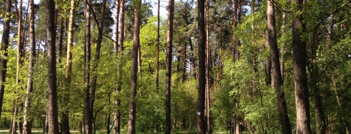 Виноградарський ліс is one of Марина'ın Beğendiği Mekanlar.