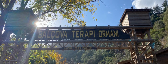 Balçova Terapi Ormanı is one of สถานที่ที่บันทึกไว้ของ Anil.