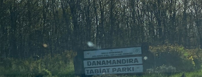 Danamandıra Tabiat Parkı is one of gormek istedigimiz yerler.