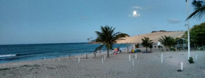 Praia de Genipabu is one of Natal - RN.
