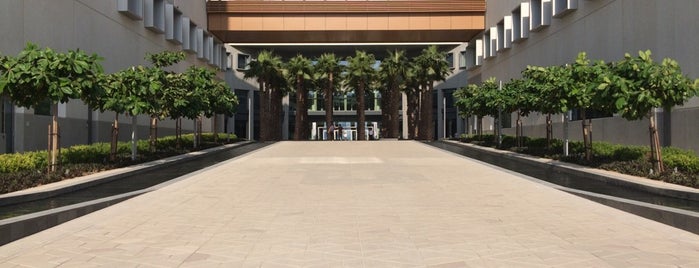 New York University Abu Dhabi is one of Essential NYU: Abu Dhabi.