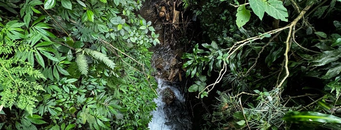 Munduk Waterfall is one of Bali / Indonesien.