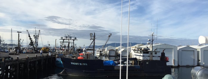 Island Mariner Whale Watching Tours is one of Vacaciones en Seattle.