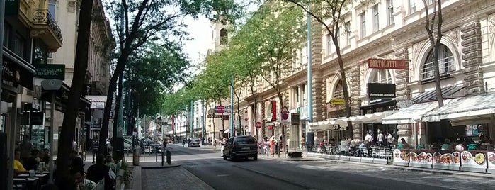 Mariahilfer Straße is one of Vienna (July 2014).