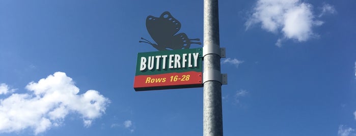 Butterfly Parking Lot is one of Walt Disney World - Animal Kingdom.