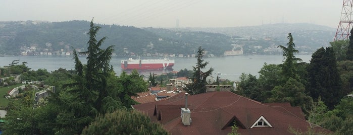 Kortel Korusu is one of Istanbule.