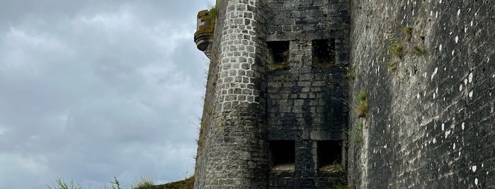 Citadelle de Givet is one of Mosan.
